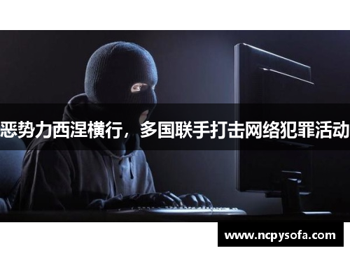 恶势力西涅横行，多国联手打击网络犯罪活动