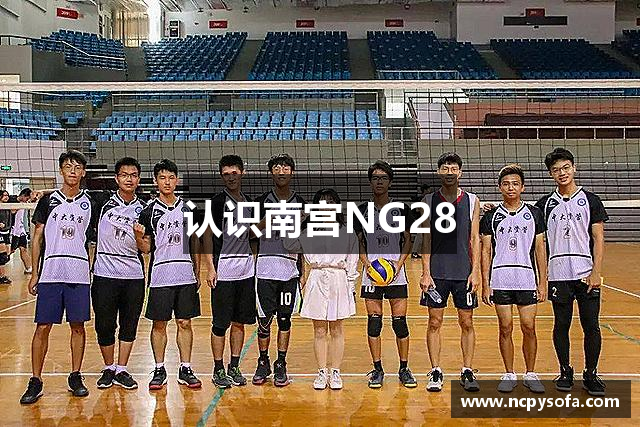 认识南宫NG28